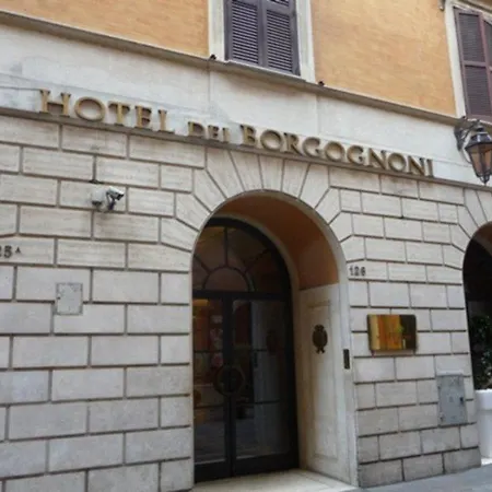 Dei Borgognoni